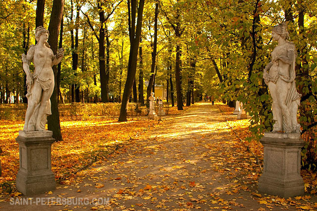 Autumn View Of Marble Statues In The Summer Gardens