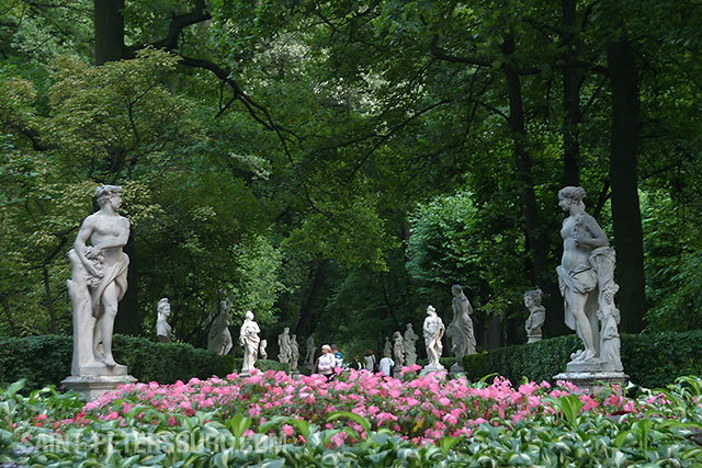 Flowers in the Summer Gardens