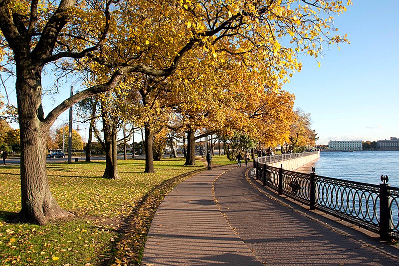 Kronverkskaya Embankment with autumn foliage in Saint-Petersburg, Russia