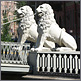 Lions Bridge, St. Petersburg, Russia