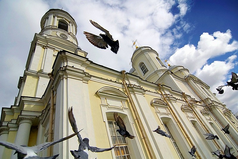 Pigeons in front of the Cathedral of Prince Vladimir (Knyaz-Vladimirskiy) in St Petersburg, Russia
