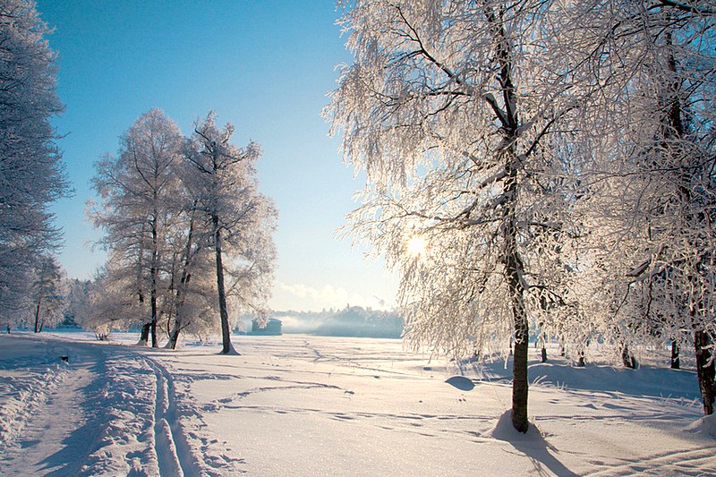 Winter view of Gatchina Park in Gatchina, south of St. Petersburg, Russia