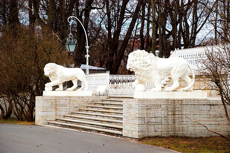 Lion statues on the steps of Yelagin Palace in St Petersburg, Russia