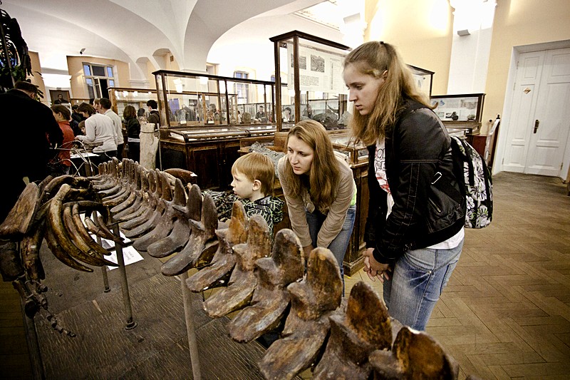Exhibits at the Mining Research Museum in St Petersburg, Russia