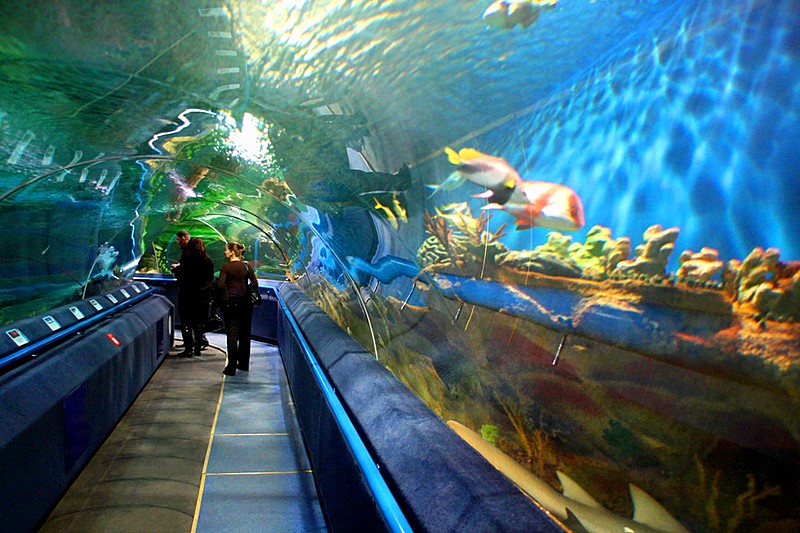 The main aquarium of the Oceanarium in Saint Petersburg, Russia