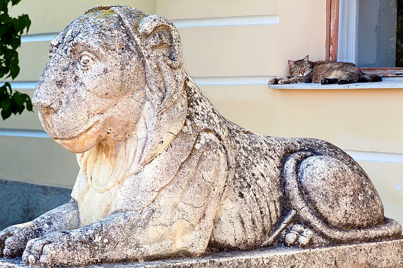 Stone lion at the entrance to the Grand Palace in Pavlovsk royal estate, south of St Petersburg, Russia